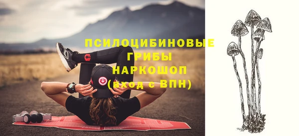 стаф Майский