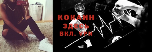 стаф Майский