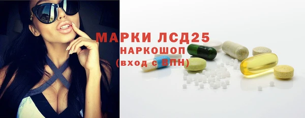 стаф Майский