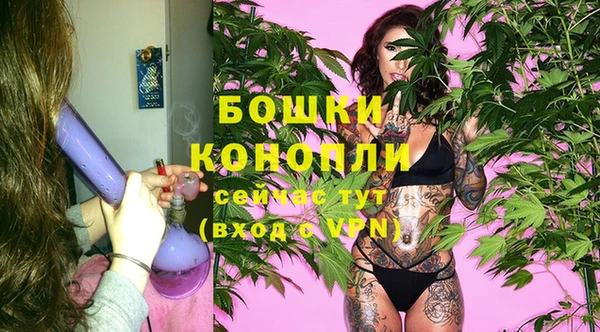стаф Майский