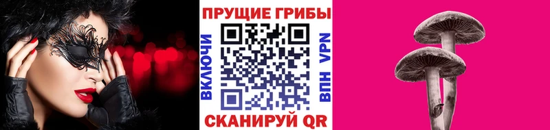 МЕГА   Сортавала  Галлюциногенные грибы GOLDEN TEACHER 