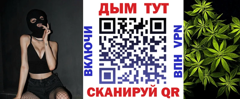 Конопля индика  Сортавала 